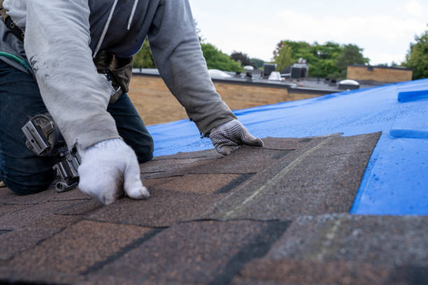 Best Metal Roofing Contractor  in Cumings, TX